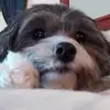 robertjoslin6 - @robertjoslin6 - TikTok