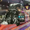 Robert Joyce - @robert.joyce5 - TikTok