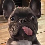 Róbert Józsa - @robert.jozsa75 - Instagram