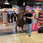 Róbert Józsa Jackó - @robertjozsajacko - Instagram