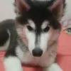 Robert Juan - @robertjuan1 - TikTok
