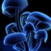 Robert Juarbe - Facebook