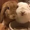 Robert Juarez - @robertjuarez178 - TikTok