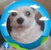 Bob Jubin - Facebook