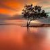 Robert Jucha - Facebook
