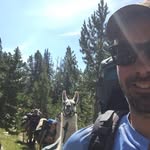 robert jung - @robertdjung - Instagram
