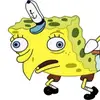 Robert Jung - @memeuniverse74 - TikTok