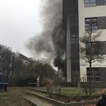Robert-Jungk-Oberschule - @robertjungkoberschule - Instagram