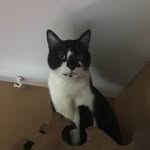 Robert Jurek - @robert_jurek2552 - Instagram