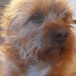 Robert Jurek - @jurek5276 - Instagram