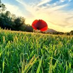 Robert Jureković - @robertjurekovic - Instagram
