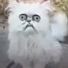 kaineroberthopkin - @kaineroberthopkin - TikTok