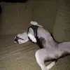 Robert Kaiser - @robert.kaiser0 - TikTok