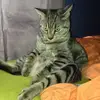 Robert Kaiser - @robertkaiser96 - TikTok