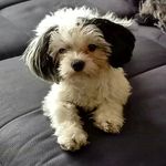 Robert Kalka - @kalka.robert - Instagram