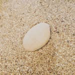 Robert - @_kamen_robert_ - Instagram