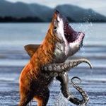 Robert Kämerer - @rotester90 - Instagram