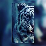 Robert Kapp - @ru_robert__ - Instagram