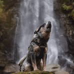Robert Karlen - Facebook