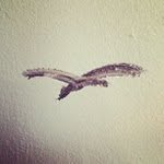 Robert Karsten - @guaticie - Instagram