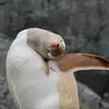 robertykary - @robertykary - TikTok