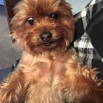 Robert Kasprzyk - @capsztyk - Instagram