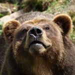 Robert Kasprzyk - @piraka15 - Instagram