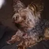 łysyRobert Kaszuba - @ysyrobert.kaszuba - TikTok