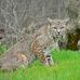 Robert Katt - Facebook