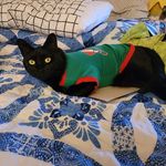 Robert Kearney - @robert.kearney.7547 - Instagram