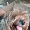 robertkearsey - @robertkearsey - TikTok
