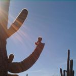 Robert Keck - @arrow4977j - Instagram