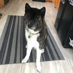 Robert Keck - @rkeck_71 - Instagram