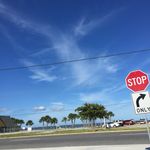 Robert Keeling - @goofy.scoots - Instagram