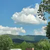 Rose Keesecker - @rose.keesecker - TikTok