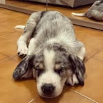 Robert Keiper - @fahiemammany - Instagram