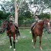 Marias gêmeas - @robertkeisergomes - TikTok