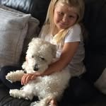 Robertkelling - @robertkelling3 - Instagram