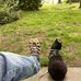 Robert Keniston - Facebook