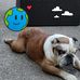 Robert Kennell - Facebook