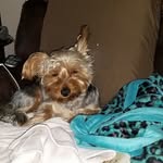 Robert Kerman - @kermanrobert - Instagram