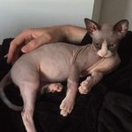 Robert Kernaghan - @kernaghanrobert - Instagram