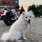 Robert kerwin - @jaimar959555 - Instagram