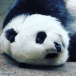 Benjamin Robert Keyte - @benjaminrobertkeyte - Instagram