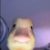 Monkeygang - @robertkier42 - TikTok