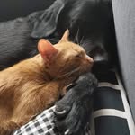 Robert Kierzek - @kierzekrobert - Instagram