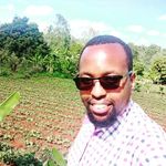 Robert Kihara - @robart360 - Instagram