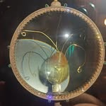 Абу Картоев - @robertkikmars - Instagram