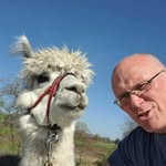 Robert Robbe Kik - @robbepilgert10 - Instagram