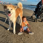 Robert Kiley - @petitsyua - Instagram